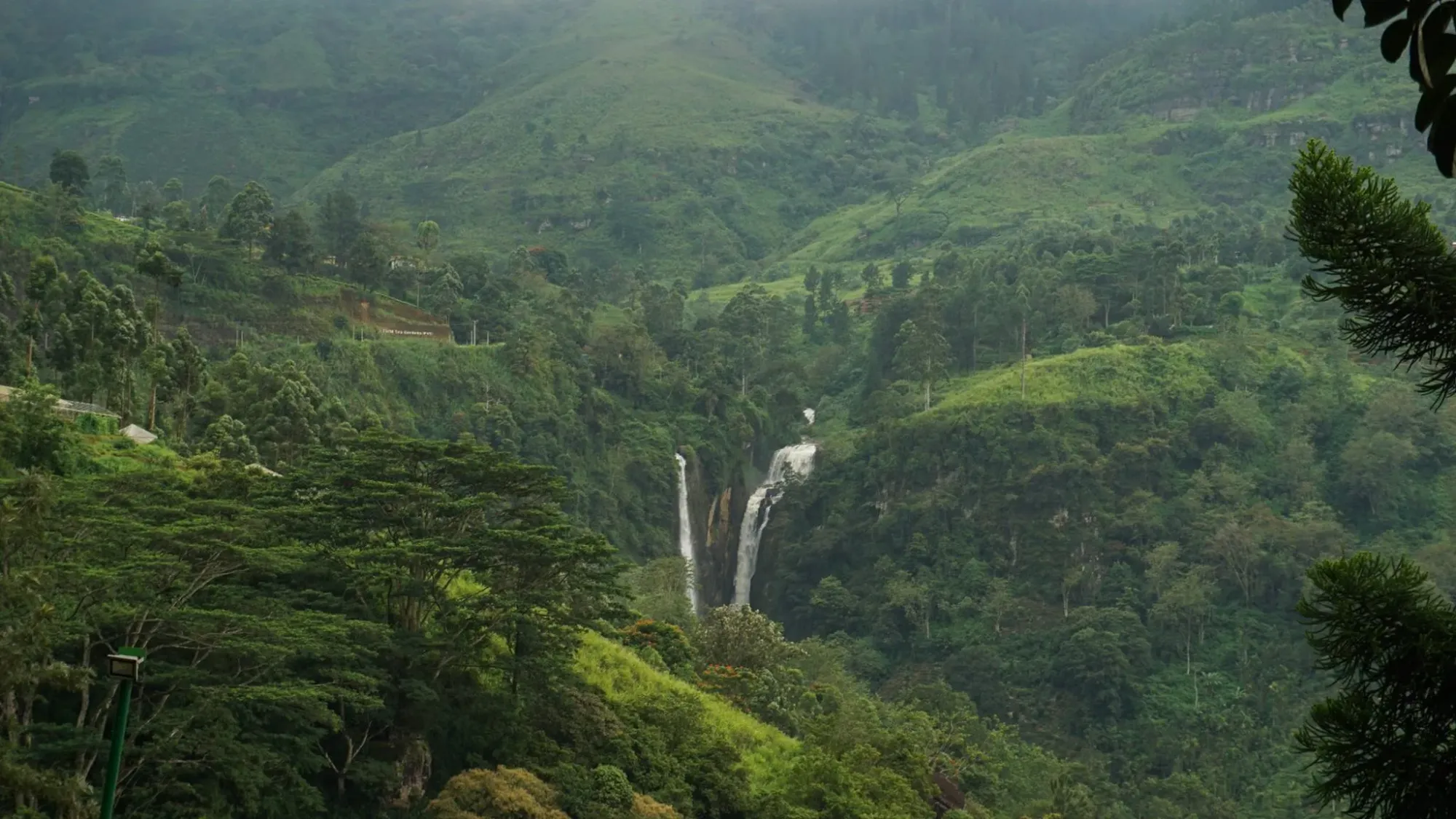 Puna falls from Tea bush hotel observation deck