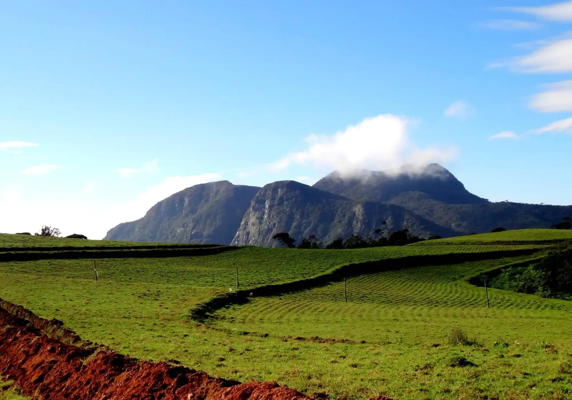 The rugged silhouette of Hakgala Mountain rising above the grasslands of Sandathenna