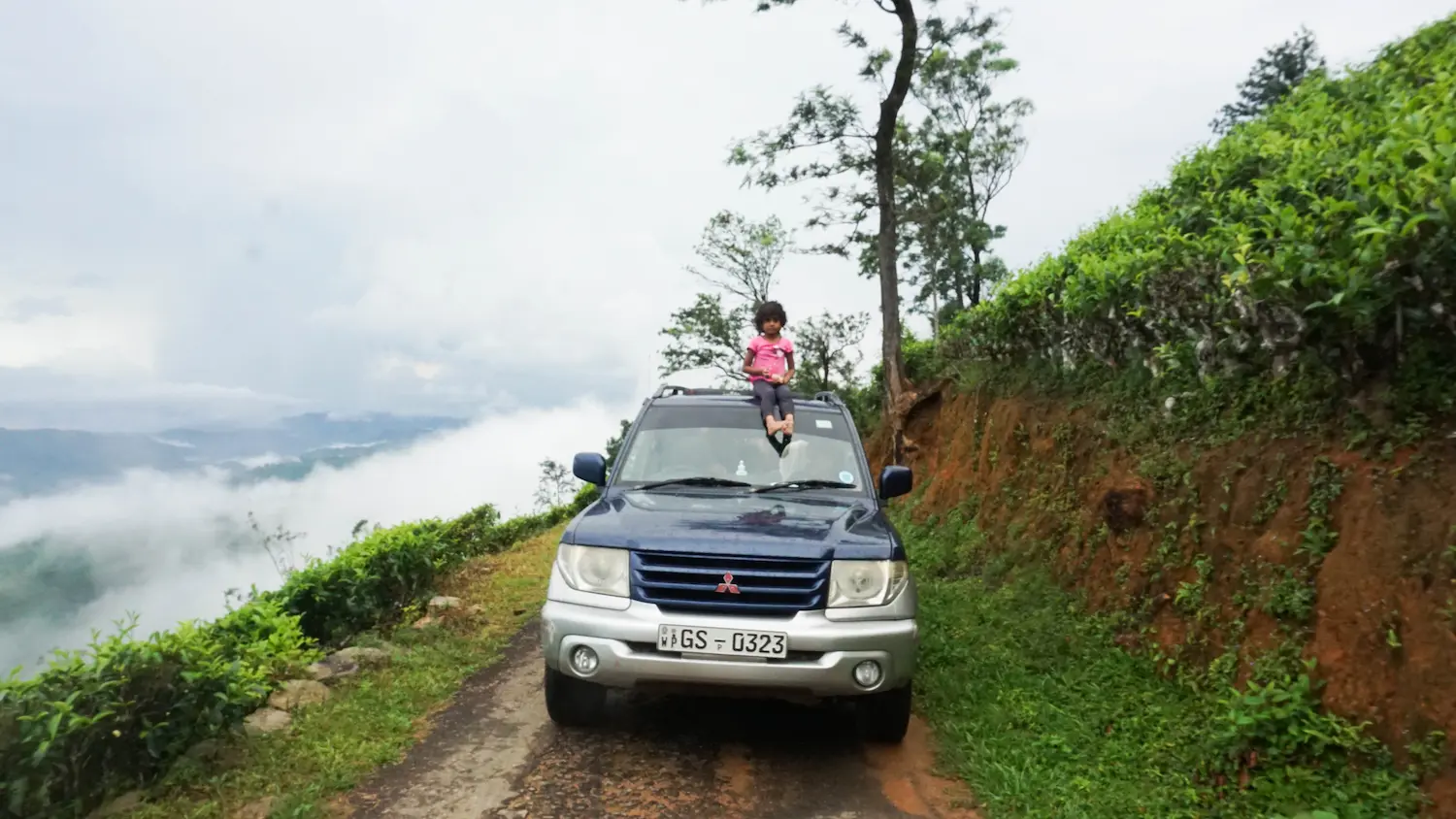  Our reliable, rugged companion—the Montero io