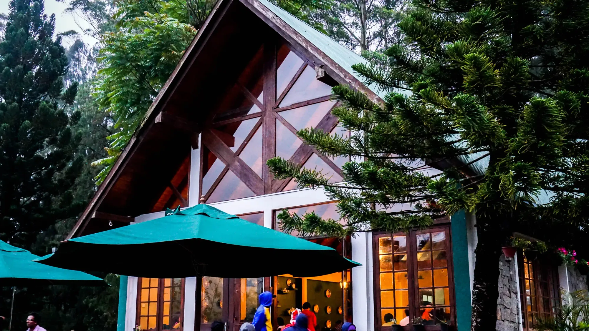 Damro Tea Center : Alpine architecture and hot BOPF tea overlooking the rolling green carpets of the estate