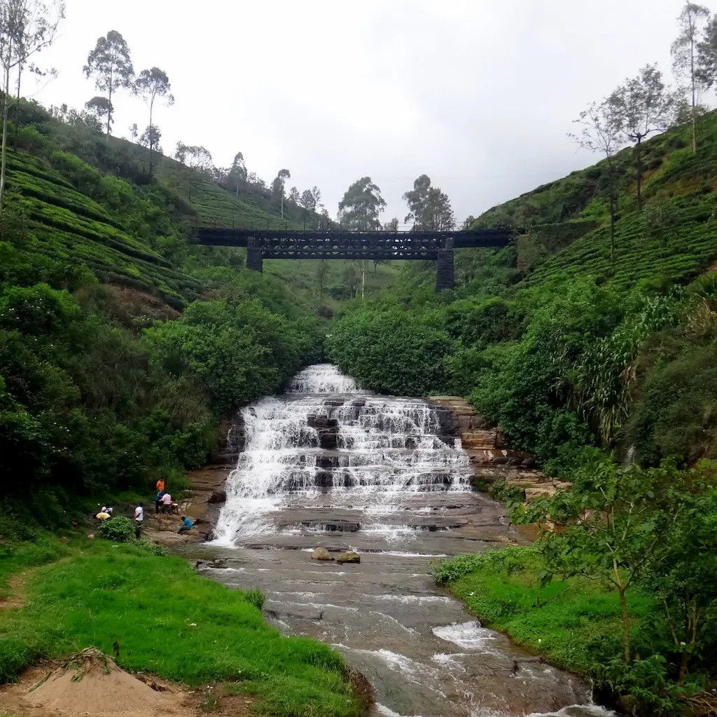 Nanu Oya Falls: Where the classic hill country train meets the mist.