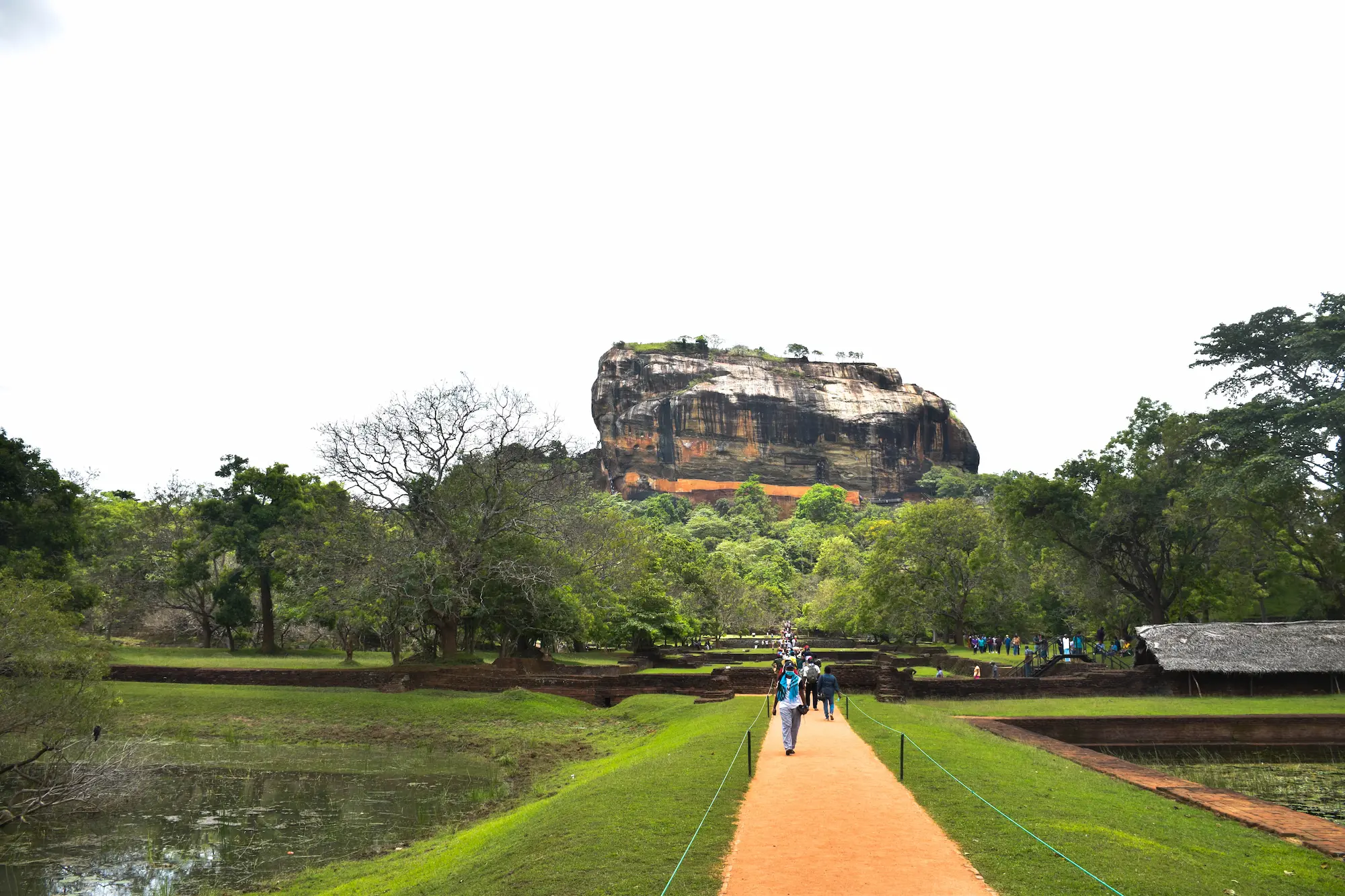 View for Western Water Gardens