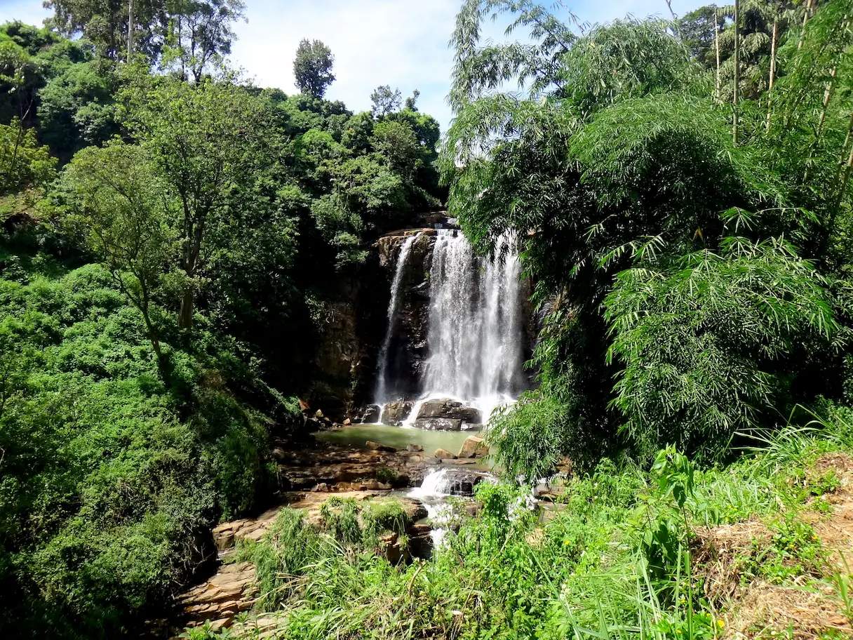 Mount Vernon Falls: A peaceful roadside secret tucked in the tea gardens.