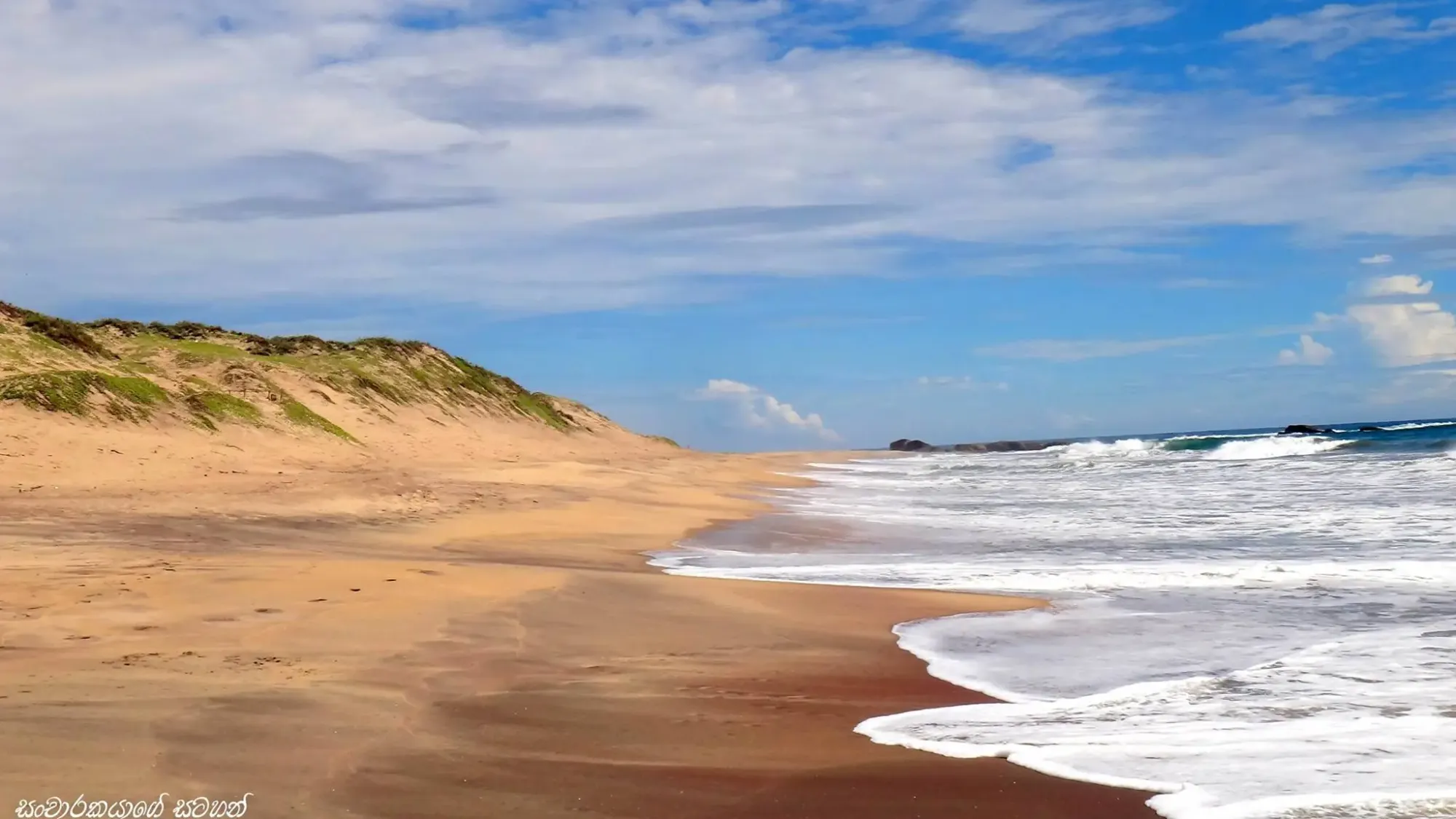 Panama: "Dunes and drift—finding the 'logic' of solitude on the untouched sands of Panama beach."