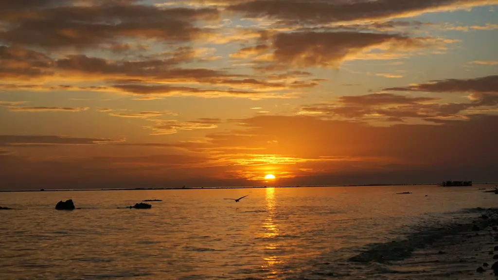 Pasikuda: "The East Coast golden hour—where the ocean turns to glass and the horizon feels infinite."