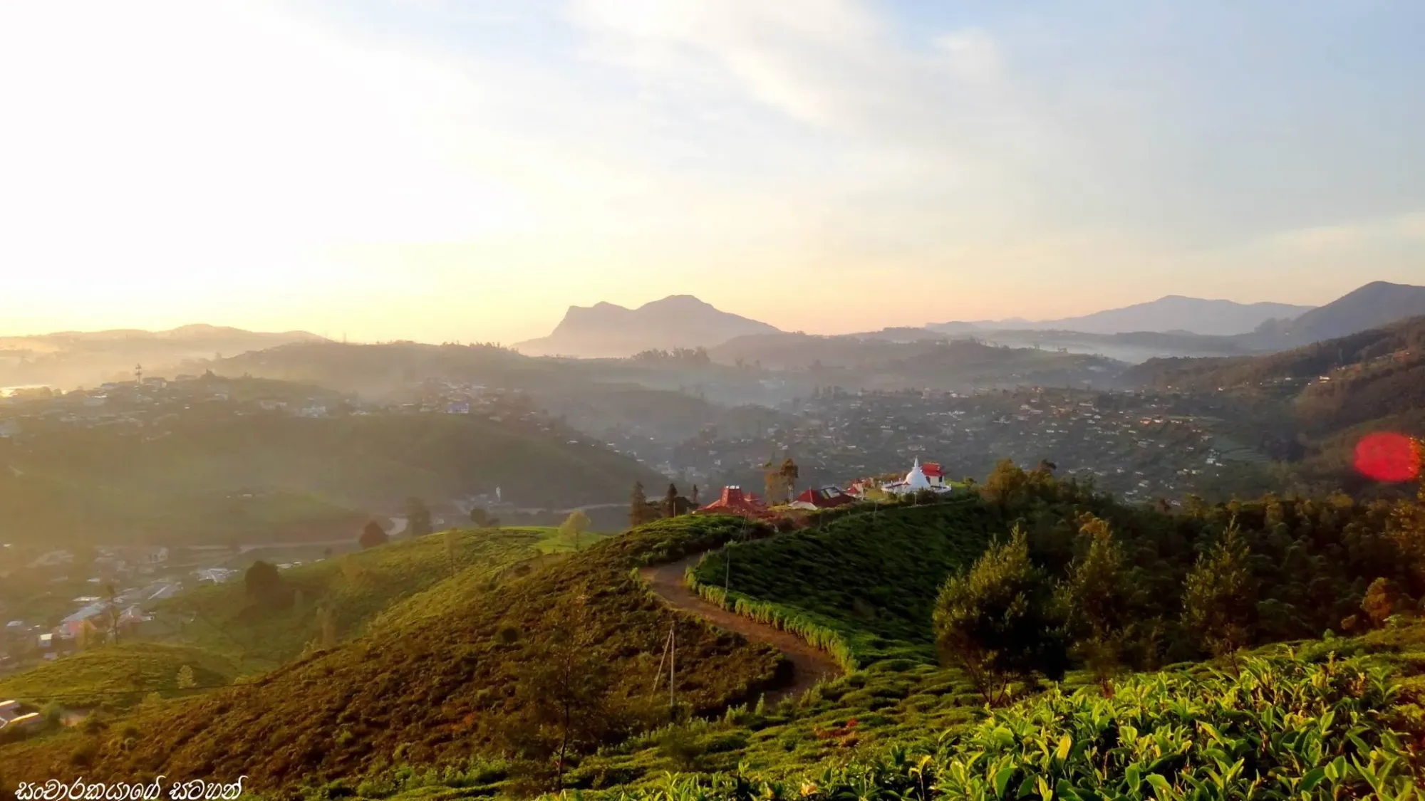 Single Tree Hill - Sunrise over Hakgala range