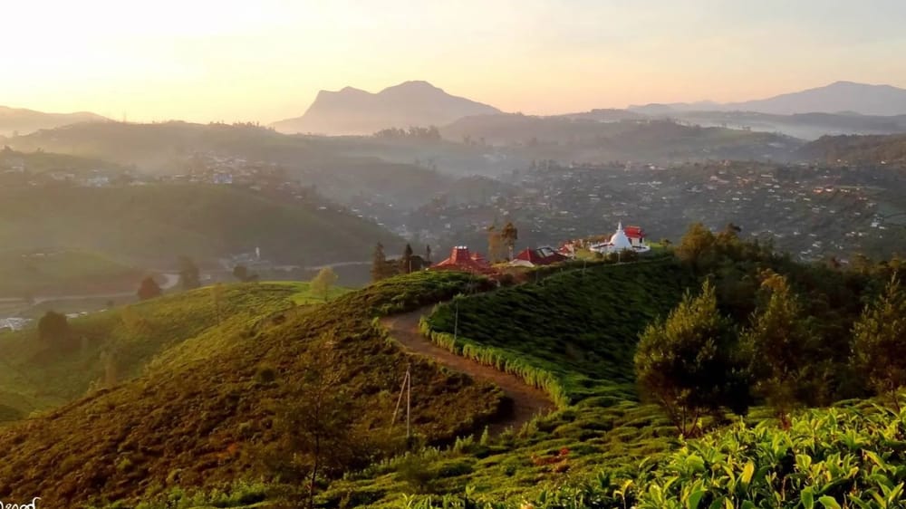 The golden hour, where the mist settles over Gregory Lake and the town below.